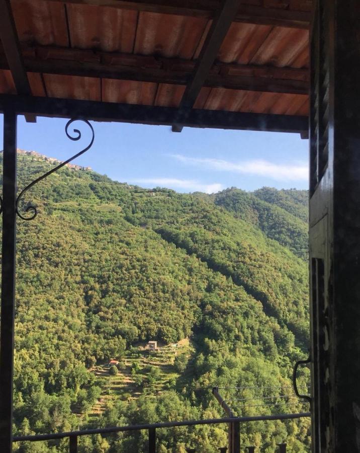 House In The Medieval Village Apricale Luaran gambar