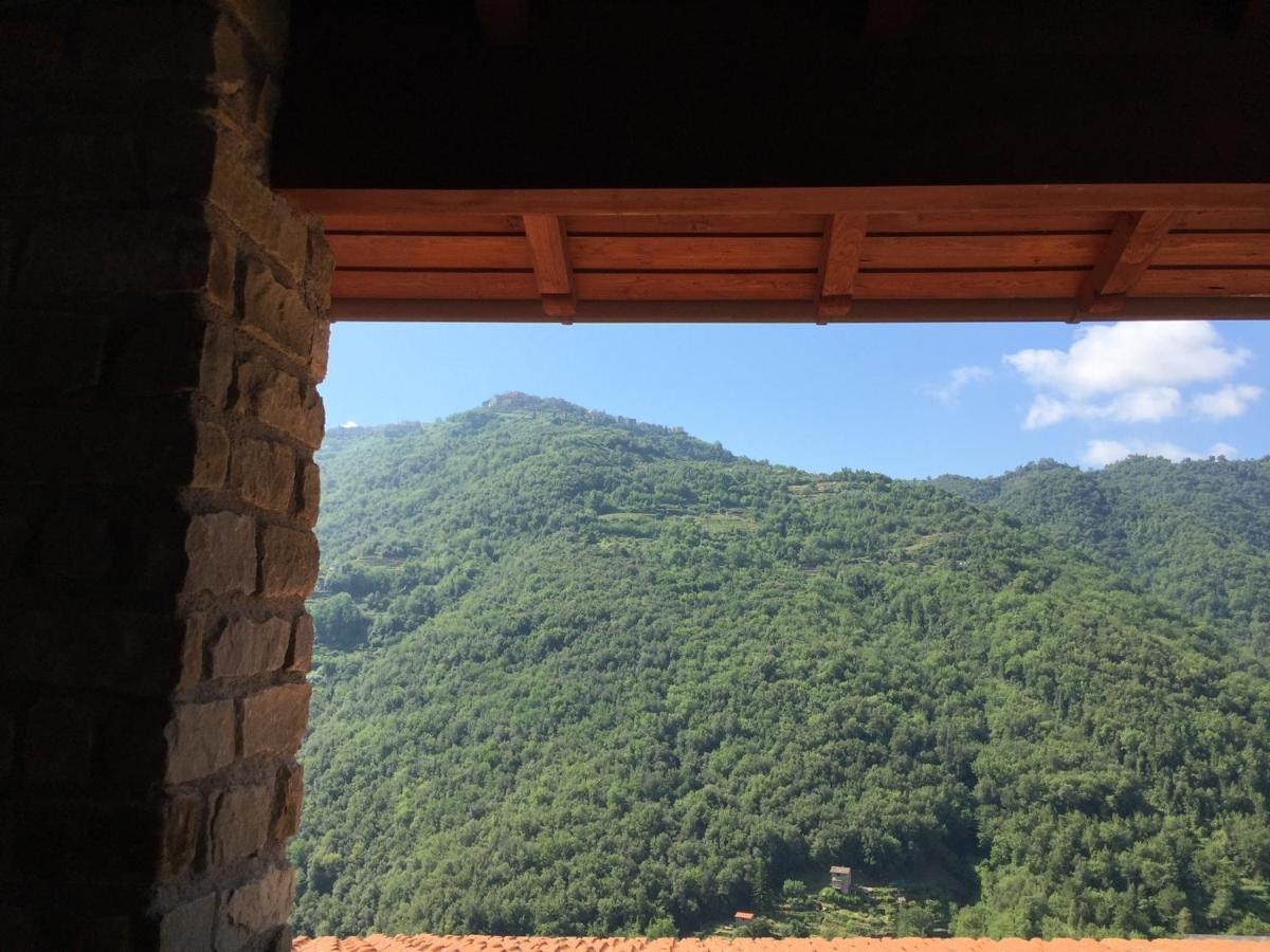 House In The Medieval Village Apricale Luaran gambar
