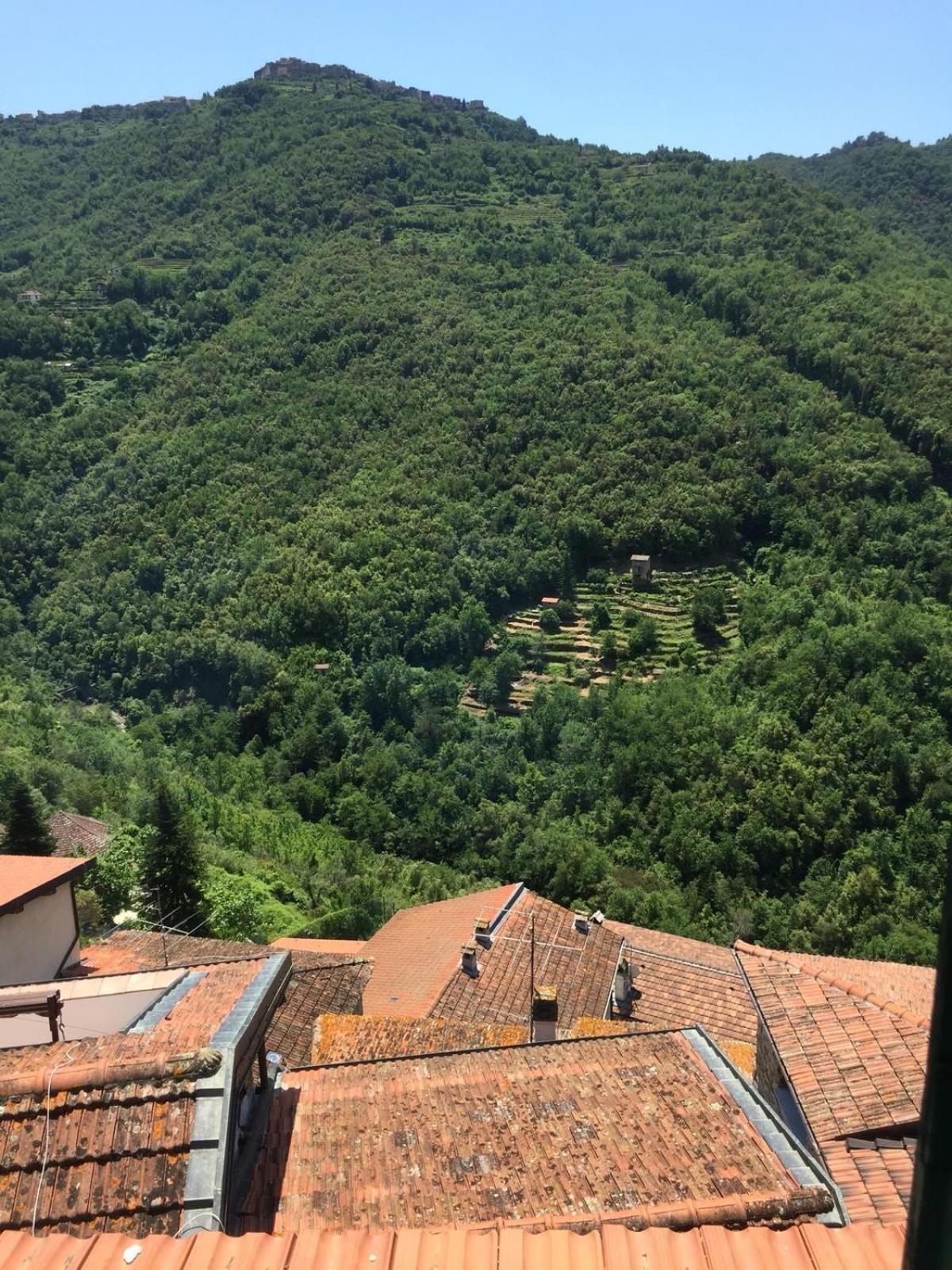 House In The Medieval Village Apricale Luaran gambar